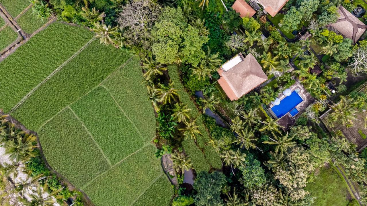 Alam Shanti Ubud Zewnętrze zdjęcie